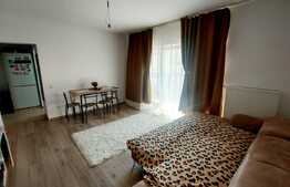 Apartament 2 camere, etaj 1, zona strazii Teilor!