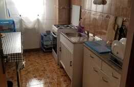 Apartament de inchiriat cu 1 camera, 40 mp, loc de parcare, Zorilor