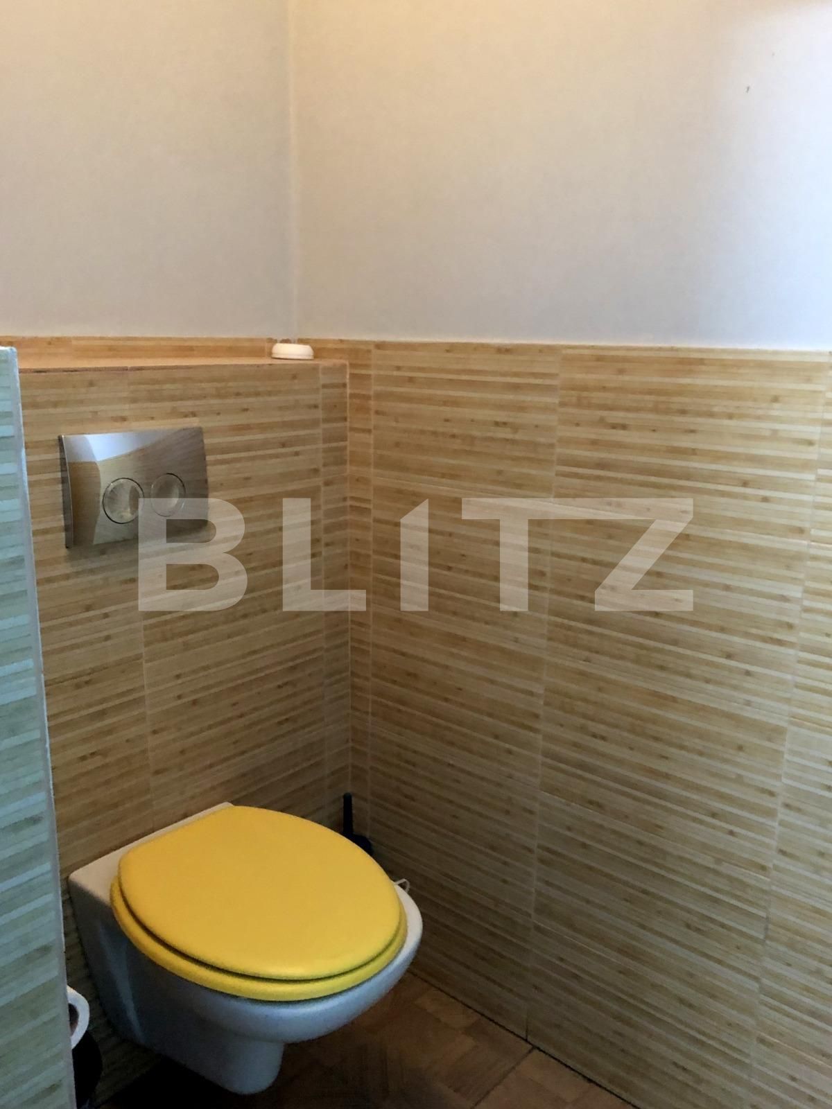 Spațiu comercial de închiriat Central - 71318SIC | BLITZ Cluj-Napoca | Poza5