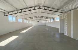 Hala industriala pretabila pentru depozitare/activitati , 254 mp, parcare, Floresti!