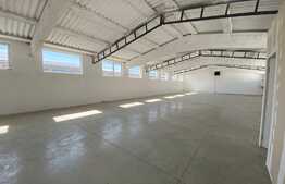 Hala industriala pretabila pentru depozitare/activitati , 254 mp, parcare, Floresti!