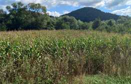 Blitz propune spre vanzare teren in Stolna 1723 mp, 2 fronturi de 38 ml