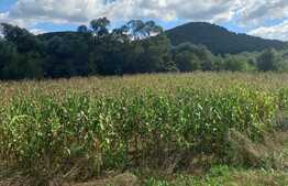 Blitz propune spre vanzare teren in Stolna 1723 mp, 2 fronturi de 38 ml