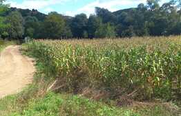 Blitz propune spre vanzare teren in Stolna 1723 mp, 2 fronturi de 38 ml