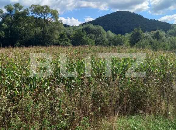 Teren de vânzare Exterior Vest - 71343TV | BLITZ Cluj-Napoca | Poza3