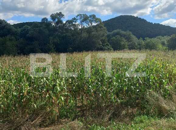 Teren de vânzare Exterior Vest - 71343TV | BLITZ Cluj-Napoca | Poza2