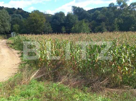 Teren de vânzare Exterior Vest - 71343TV | BLITZ Cluj-Napoca | Poza1