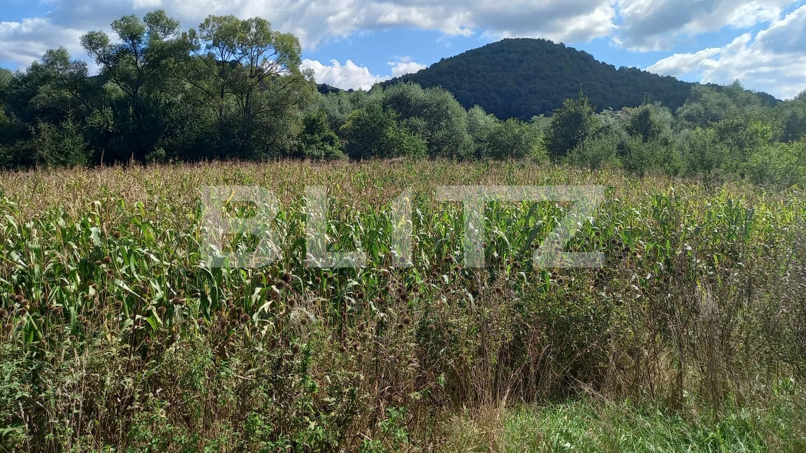 Teren de vânzare Exterior Vest - 71343TV | BLITZ Cluj-Napoca | Poza3