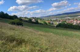 Bitz propune spre vanzare teren In Luna de Sus 3500 mp