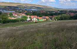 Bitz propune spre vanzare teren extravilan In Luna de Sus 2880 mp