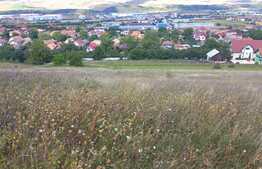 Bitz propune spre vanzare teren extravilan In Luna de Sus 2880 mp