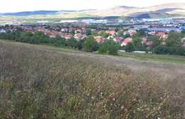 Bitz propune spre vanzare teren extravilan In Luna de Sus 2880 mp