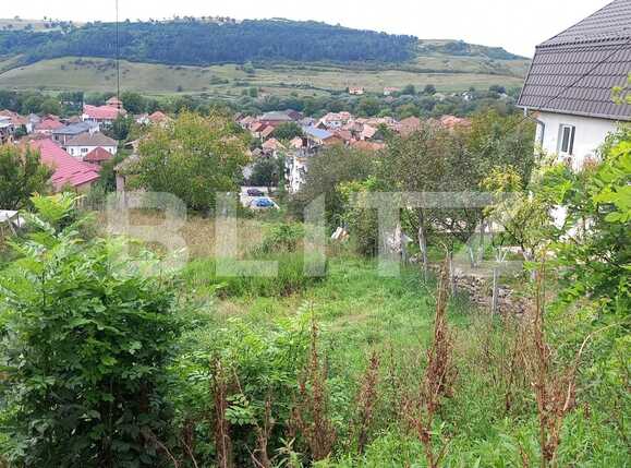 Teren de vânzare Baciu - 71354TV | BLITZ Cluj-Napoca | Poza2