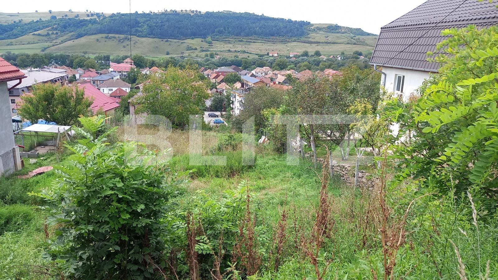 Teren de vânzare Baciu - 71354TV | BLITZ Cluj-Napoca | Poza2