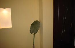 4 camere, 120 mp, decomandat, imobil nou, zona strazii Arinilor!