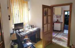 Investitie! Casa cu 2 apartamente, curte comuna, 38/25 mp utili, Central