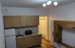 Investitie perfecta cu preluare de chiriasi, garsoniera 20 mp, zona FSEGA