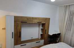 Investitie perfecta cu preluare de chiriasi, garsoniera 20 mp, zona FSEGA