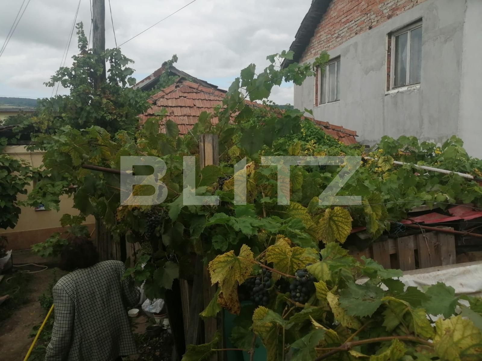 Casa de vânzare 1 camera Gruia - 71399CV | BLITZ Cluj-Napoca | Poza3