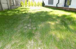 Apartament 2 camere semifinisat, gradina de 60mp Zona Avram Iancu BMW