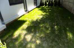 Apartament 2 camere semifinisat, gradina de 60mp Zona Avram Iancu BMW