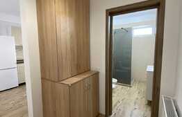 Apartament 1 camera decomandat, cochet, prima inchiriere, 42 mp, parcare, zona Lidl!