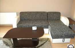 Apartament 2 camere, semidecomandat, mobilat modern, zona Garii!