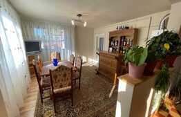 Casa individuala + anexa si gospodarie , 247 mp , 3 nivele,  1669 gradina, Gilau 