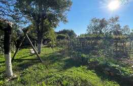 Casa individuala + anexa si gospodarie , 247 mp , 3 nivele,  1669 gradina, Gilau 