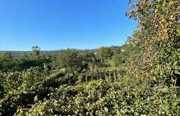 Casa individuala + anexa si gospodarie , 247 mp , 3 nivele,  1669 gradina, Gilau 