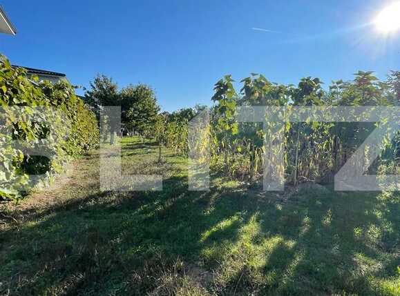 Casa de vânzare 7 camere Exterior Vest - 71423CV | BLITZ Cluj-Napoca | Poza14