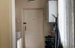 Apartament 1 camera, 40 mp, ultracentral, zona strazii Emil Isac