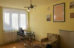 Apartament 1 camera, 40 mp, ultracentral, zona strazii Emil Isac