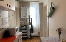 Apartament 1 camera, 40 mp, ultracentral, zona strazii Emil Isac