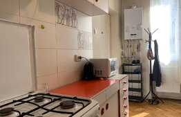 Apartament 1 camera, 40 mp, ultracentral, zona strazii Emil Isac