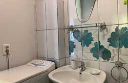 Apartament 1 camera, 40 mp, ultracentral, zona strazii Emil Isac