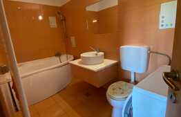 Apartament 3 camere, modern, 50 mp, AC, parcare, zona Tauti! 