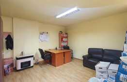 Apartament pentru afacere in zona centrala, 26 mp utili