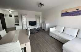 Apartament la cheie, 2 camere, parcare subterana, zona Europa