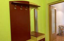 Apartament 1 camera, decomandat, 40 mp, zona strazii Nicolae Titulescu