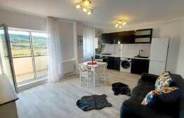 Apartament modern, 2 camere, zona cartierului Terra!