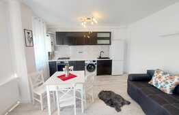 Apartament modern, 2 camere, zona cartierului Terra!