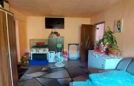 Apartament 2 camere, decomandat, 55 mp., zona Florilor