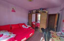 Apartament 2 camere, decomandat, 55 mp., zona Florilor
