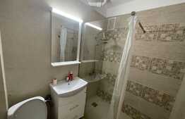 Apartament de 2 camere, 50mp, Pet-Friendly, zona strazii Horea