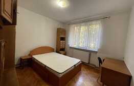 Apartament de 2 camere, 50mp, Pet-Friendly, zona strazii Horea