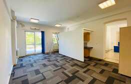 Vila renovata, 372 mp, curte proprie de aprox 300 mp, zona piata Cipariu