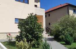 Casa mobilata si utilata, 120 mp utili, 600 mp teren, Chinteni 