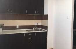 Garsoniera semidecomandata, recent renovata, de 28mp, zona universitatii Bogdan Voda