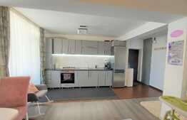 Apartament 3 camere, modern/lux, 61 mp., zonaTerra
